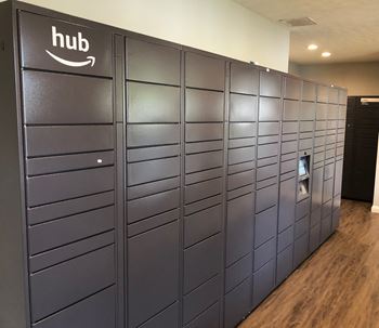 Hub package lockers